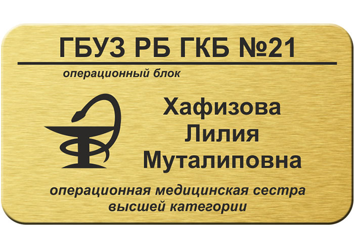 Магнитные бейджи с логотипом Шереметьево. Бейджик с кузнечиками. Магнитный бейдж Иркутск. Бейдж с рейтингом организации на сайте.
